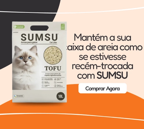 /gatos/sumsu/pr-523722
