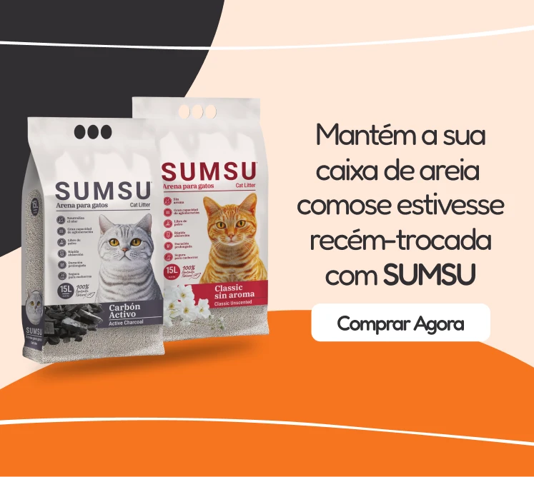 /gatos/s_areias_sumsu