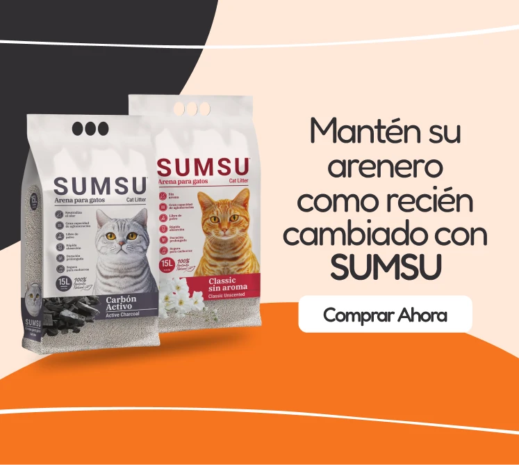 /gatos/s_areias_sumsu