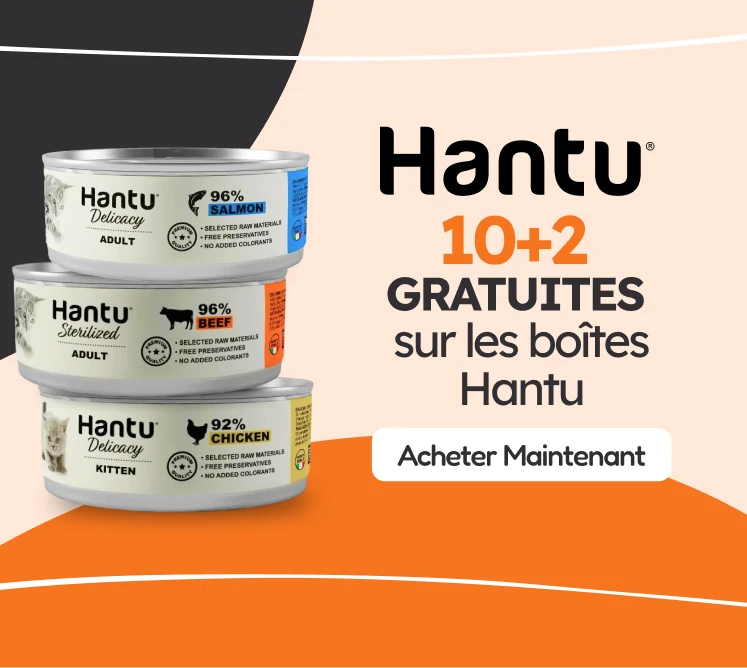 /gatos/s_racao-umida_hantu