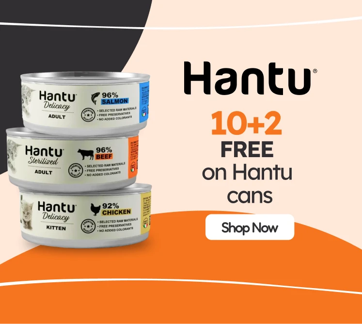 /gatos/s_racao-umida_hantu