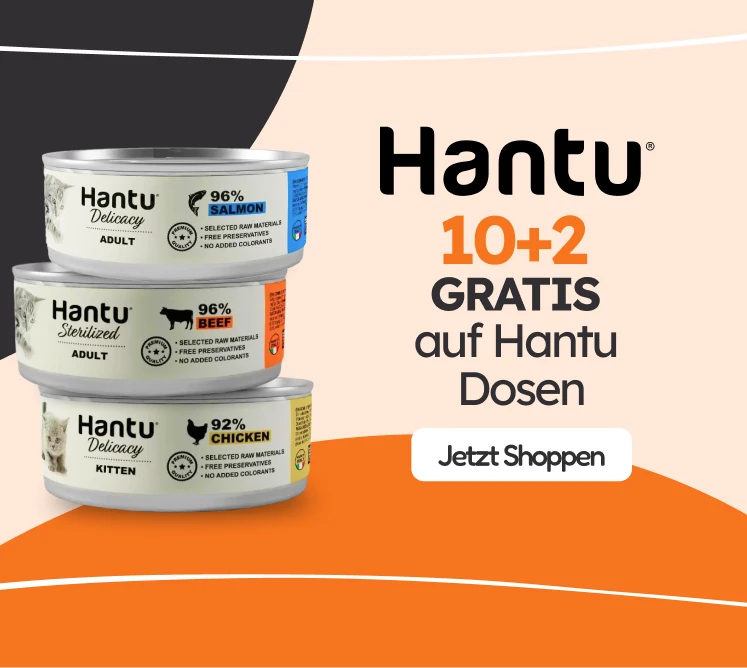 /gatos/s_racao-umida_hantu