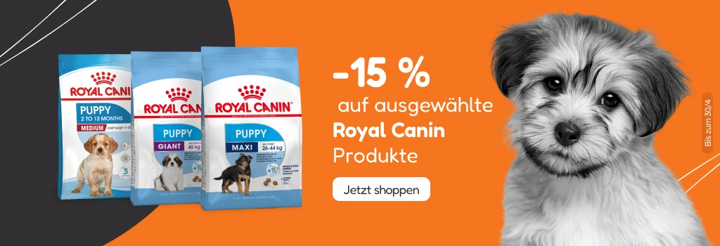 /c/royal-canin-15?utm_source=home&utm_medium=banner&utm_campaign=royal-canin-15&utm_content=hero-ban
