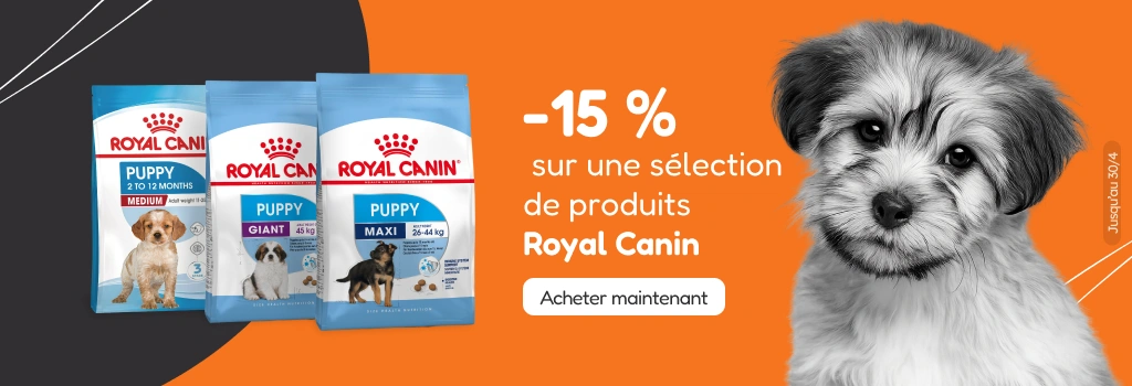 /c/royal-canin-15?utm_source=home&utm_medium=banner&utm_campaign=royal-canin-15&utm_content=hero-ban