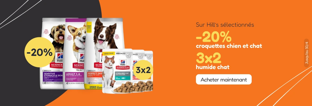 /c/hills-20-3-2?utm_source=home&utm_medium=banner&utm_campaign=hills-20-3-2&utm_content=hero-banner4