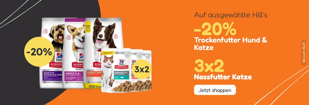 /c/hills-20-3-2?utm_source=home&utm_medium=banner&utm_campaign=hills-20-3-2&utm_content=hero-banner4