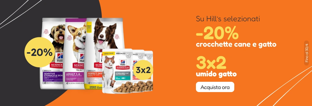 /c/hills-20-3-2?utm_source=home&utm_medium=banner&utm_campaign=hills-20-3-2&utm_content=hero-banner4