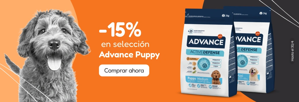 /c/advance-15?utm_source=home&utm_medium=banner&utm_campaign=advance-15&utm_content=hero-banner5