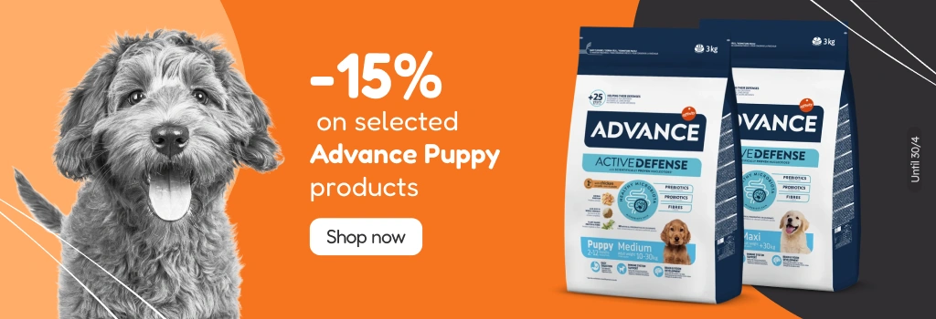 /c/advance-15?utm_source=home&utm_medium=banner&utm_campaign=advance-15&utm_content=hero-banner5