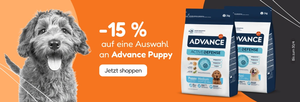 /c/advance-15?utm_source=home&utm_medium=banner&utm_campaign=advance-15&utm_content=hero-banner5