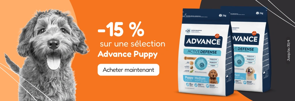 /c/advance-15?utm_source=home&utm_medium=banner&utm_campaign=advance-15&utm_content=hero-banner5