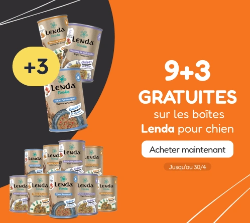 /c/lenda-9-3?utm_source=home&utm_medium=banner&utm_campaign=lenda-9-3&utm_content=medium-banner3&utm