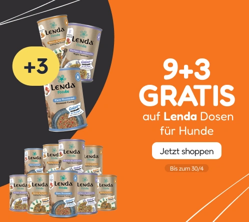 /c/lenda-9-3?utm_source=home&utm_medium=banner&utm_campaign=lenda-9-3&utm_content=medium-banner3&utm