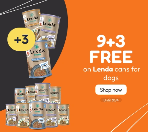 /c/lenda-9-3?utm_source=home&utm_medium=banner&utm_campaign=lenda-9-3&utm_content=medium-banner3&utm