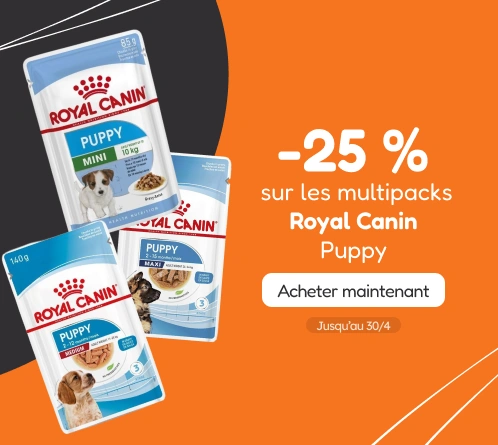 /c/royal-canin-25-puppy?utm_source=home&utm_medium=banner&utm_campaign=royal-canin-25-puppy&utm_cont