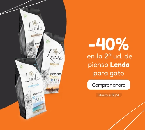 /c/lenda-2-40?utm_source=home&utm_medium=banner&utm_campaign=lenda-2-40&utm_content=medium-banner3&u