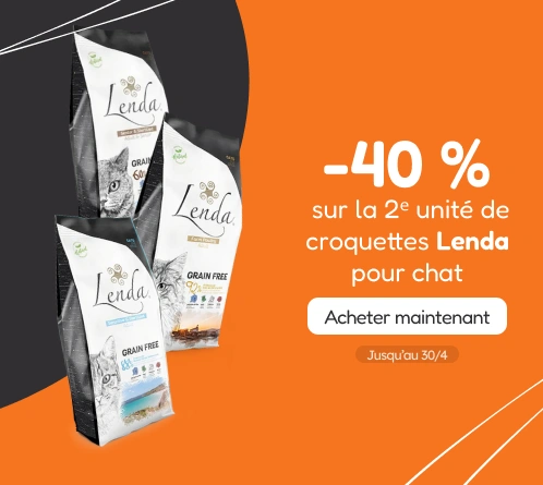 /c/lenda-2-40?utm_source=home&utm_medium=banner&utm_campaign=lenda-2-40&utm_content=medium-banner3&u