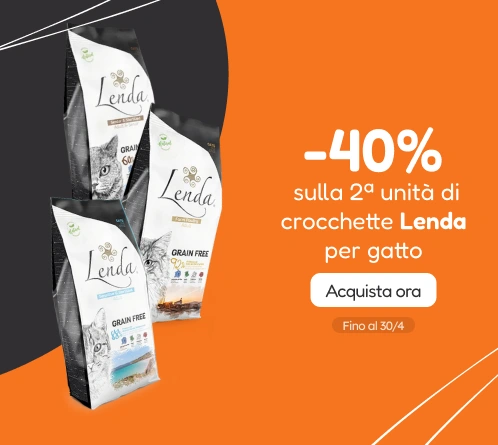 /c/lenda-2-40?utm_source=home&utm_medium=banner&utm_campaign=lenda-2-40&utm_content=medium-banner3&u