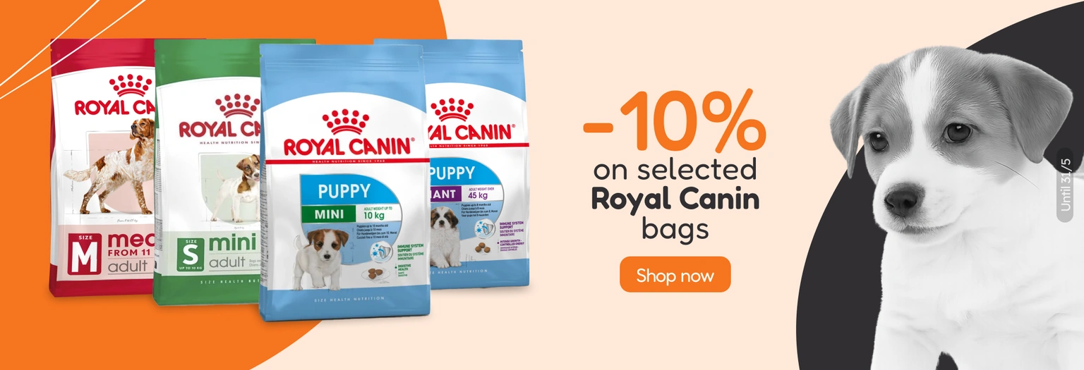 /c/royal-canin-10-piensos-seleccionados?utm_source=home&utm_medium=banner&utm_campaign=royal-canin-1