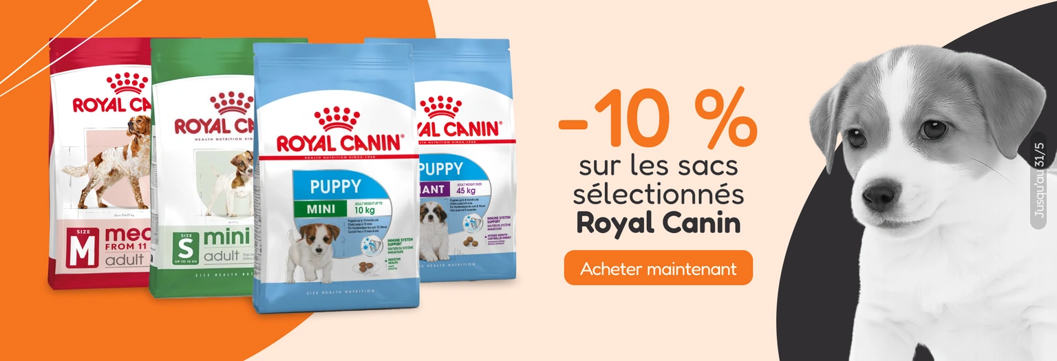 /c/royal-canin-10-piensos-seleccionados?utm_source=home&utm_medium=banner&utm_campaign=royal-canin-1