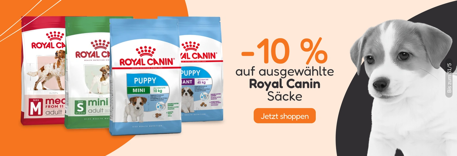 /c/royal-canin-10-piensos-seleccionados?utm_source=home&utm_medium=banner&utm_campaign=royal-canin-1