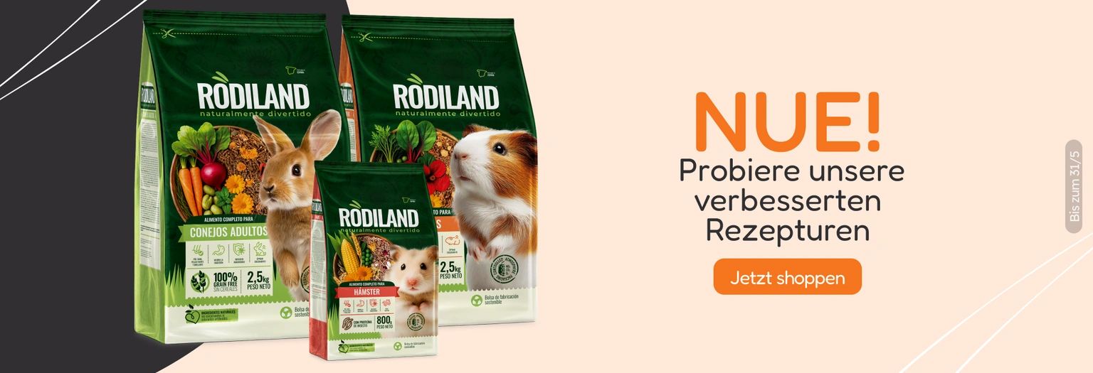 /c/rodiland-visibilidad?utm_source=home&utm_medium=banner&utm_campaign=rodiland-visibilidad&utm_cont