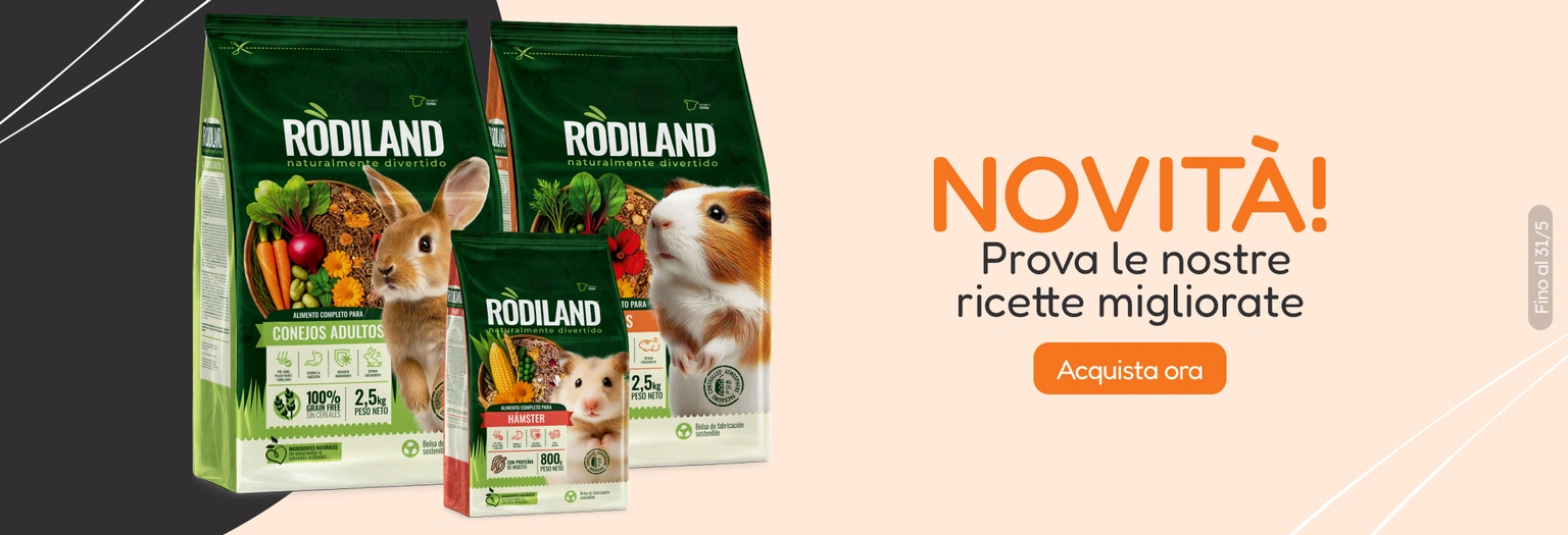 /c/rodiland-visibilidad?utm_source=home&utm_medium=banner&utm_campaign=rodiland-visibilidad&utm_cont