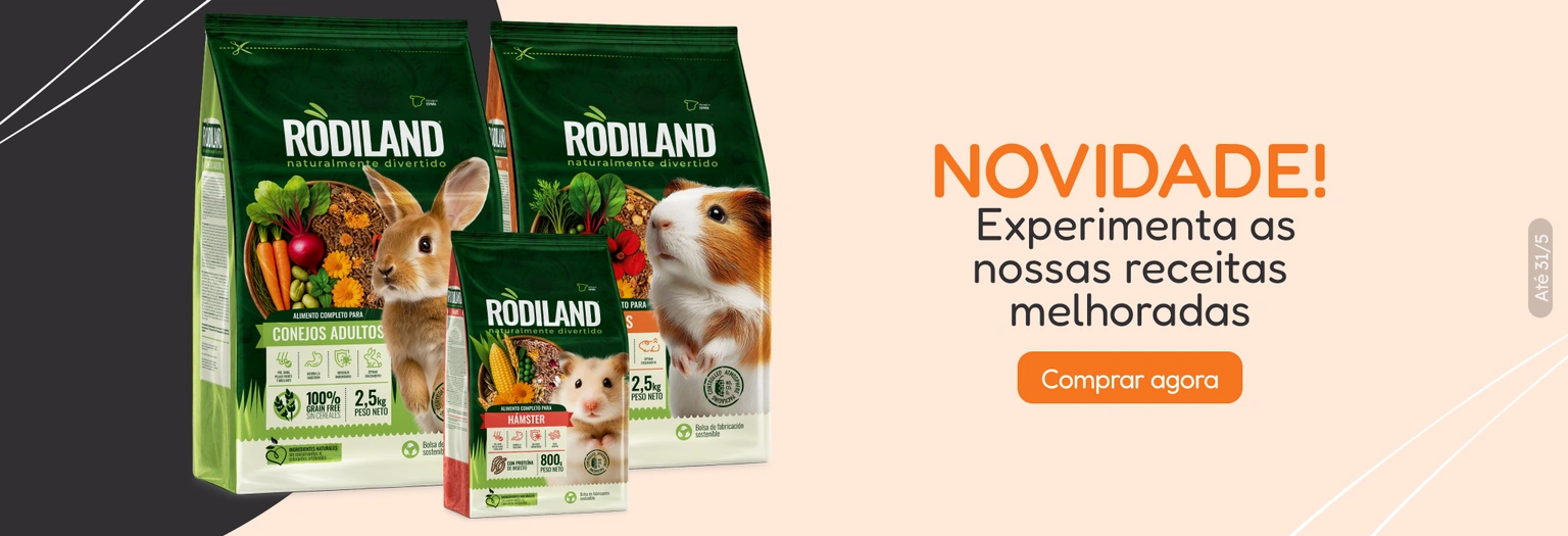 /c/rodiland-visibilidad?utm_source=home&utm_medium=banner&utm_campaign=rodiland-visibilidad&utm_cont