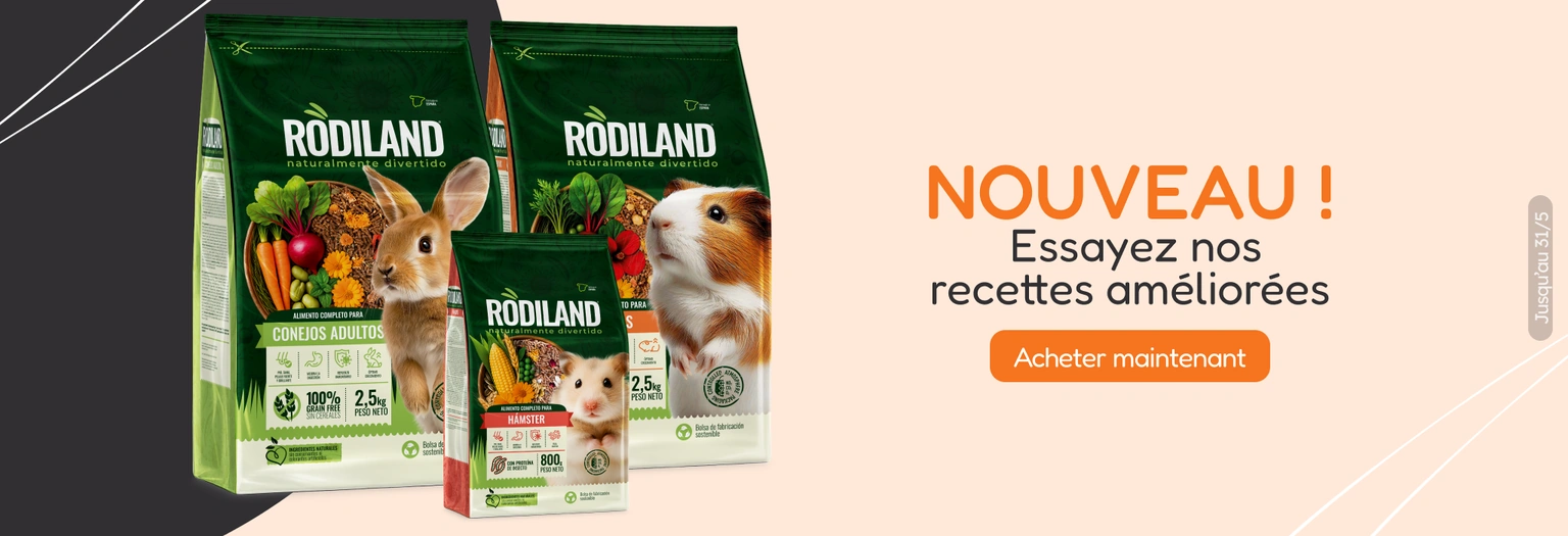 /c/rodiland-visibilidad?utm_source=home&utm_medium=banner&utm_campaign=rodiland-visibilidad&utm_cont