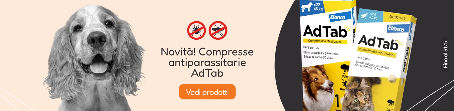 /c/ad-tab-perro-visibilidad