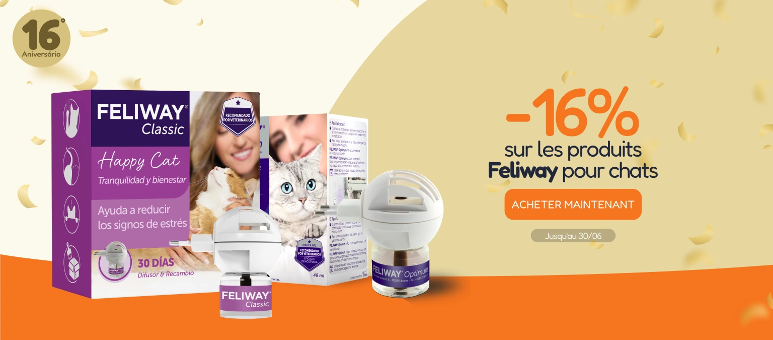 /c/junio-feliway-16-feliway