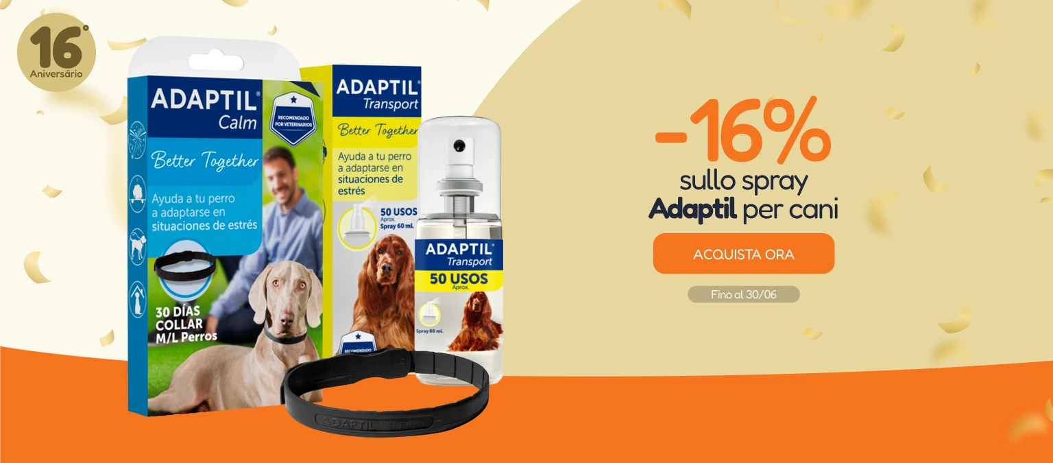 /c/junio-adaptil-16-adaptil