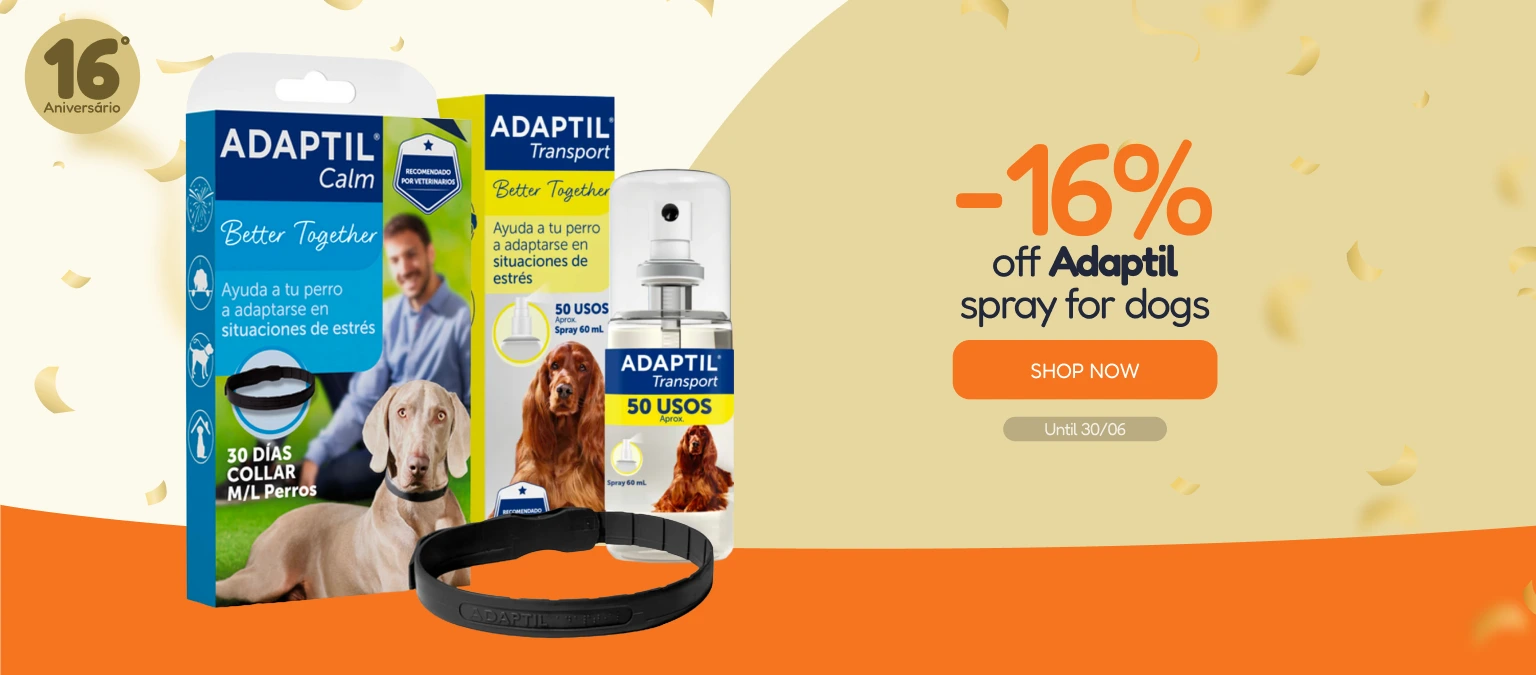 /c/junio-adaptil-16-adaptil