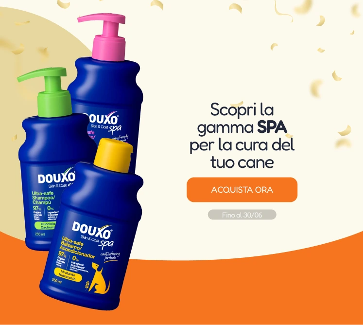 /c/junio-douxo-dog-vis