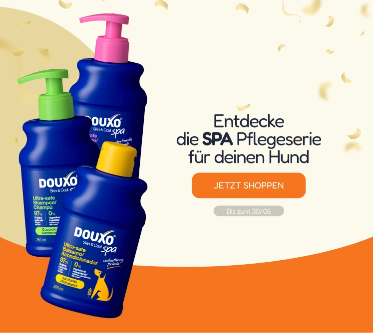/c/junio-douxo-dog-vis