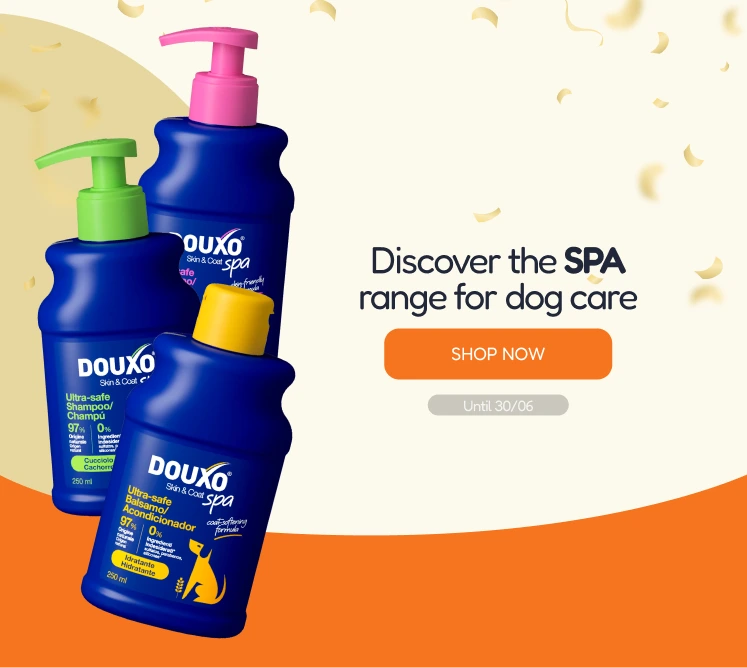 /c/junio-douxo-dog-vis