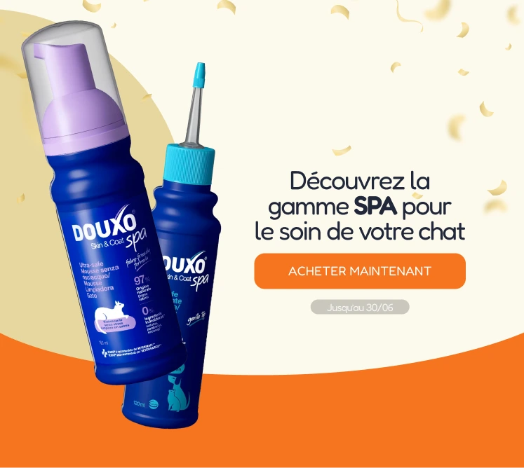 /c/junio-duoxo-cat-vis