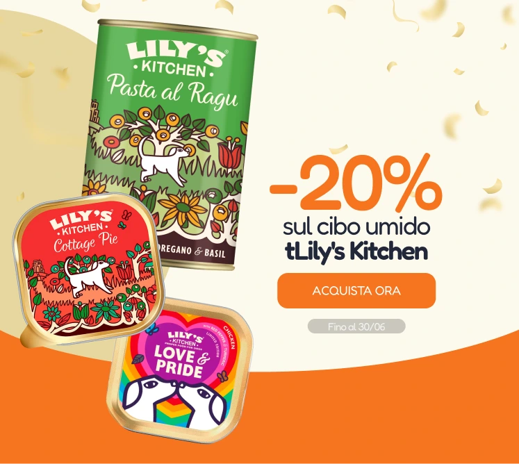 /c/junio-lilys-kitchen-20-latas