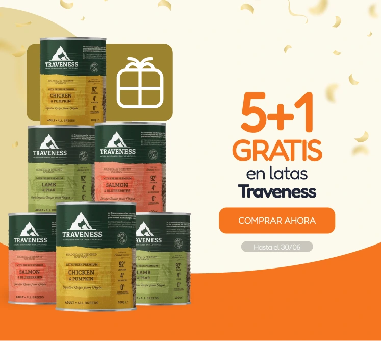 /c/junio-traveness-5-1-latas