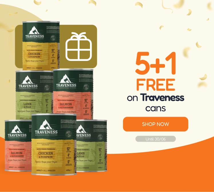 /c/junio-traveness-5-1-latas