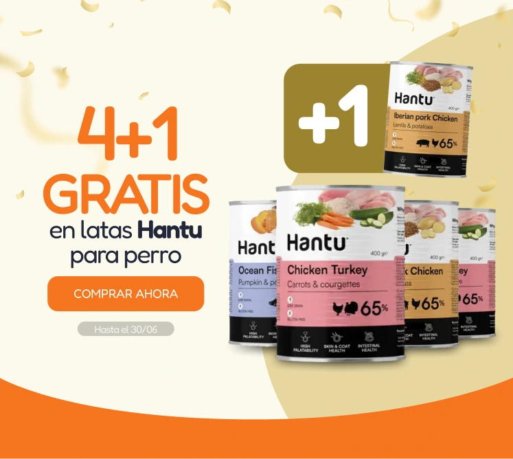 /c/junio-hantu-4-1-latas