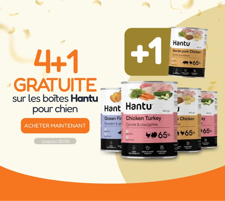 /c/junio-hantu-4-1-latas