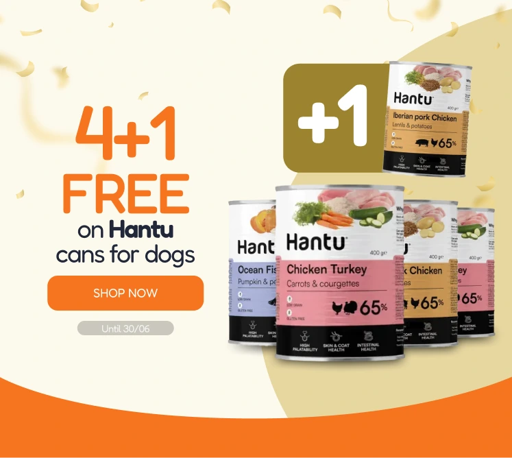 /c/junio-hantu-4-1-latas