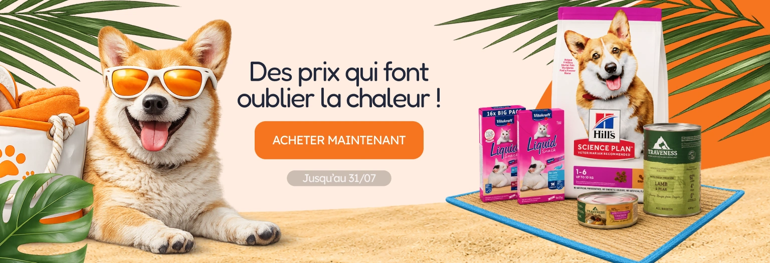/c/jul-mejores-promos-del-mes?utm_source=home&utm_medium=banner&utm_campaign=jul-mejores-promos-del-mes&utm_content=hero-banner5