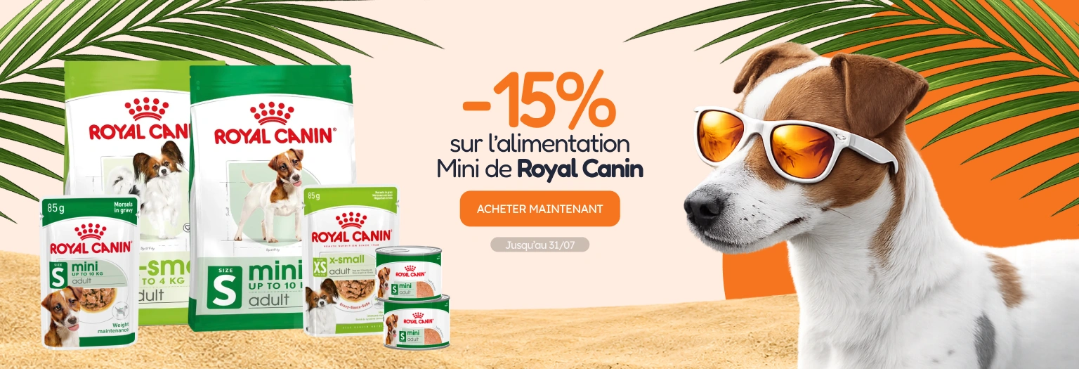 /c/jul-royal-canin-15-dog-mini?utm_source=home&utm_medium=banner&utm_campaign=jul-royal-canin-15-dog-mini&utm_content=hero-banner2