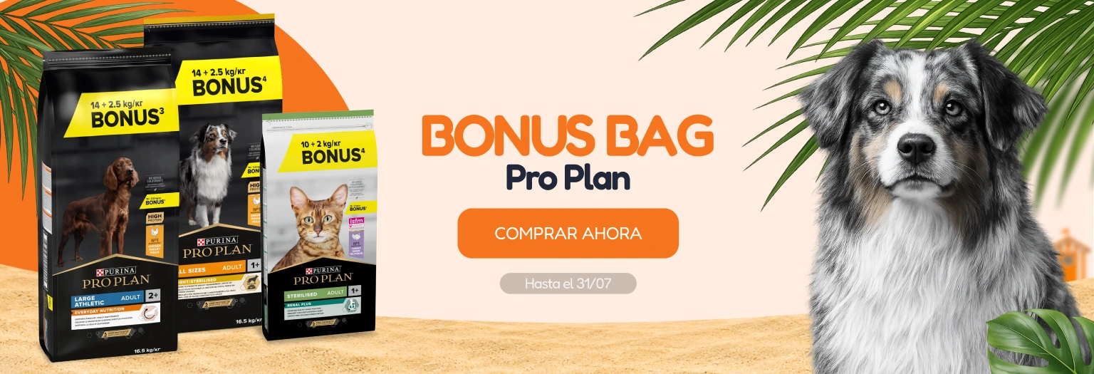 /c/jul-pro-plan-bonus-bag?utm_source=home&utm_medium=banner&utm_campaign=jul-pro-plan-bonus-bag&utm_content=hero-banner5