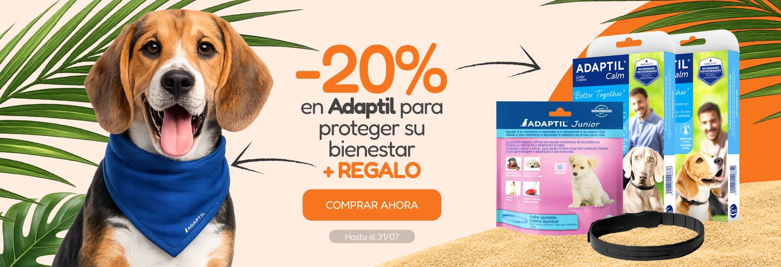 /c/jul-adaptil-20-regalo?utm_source=home&utm_medium=banner&utm_campaign=jul-adaptil-20-regalo&utm_content=hero-banner5