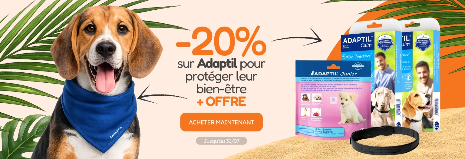/c/jul-adaptil-20-regalo?utm_source=home&utm_medium=banner&utm_campaign=jul-adaptil-20-regalo&utm_content=hero-banner5