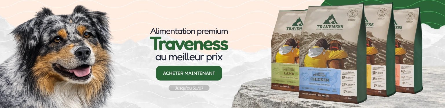 /c/jul-traveness-visibilidad-precio?utm_source=home&utm_medium=banner&utm_campaign=jul-traveness-visibilidad-precio&utm_content=low-banner1