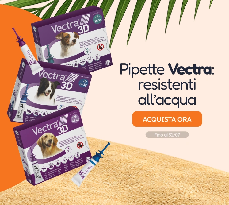 /c/jul-vectra-visibilidad?utm_source=home&utm_medium=banner&utm_campaign=jul-vectra-visibilidad&utm_content=medium-banner2&utm_term=dog